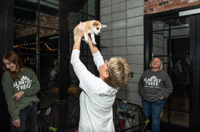 TheCommon_Valentines25-39