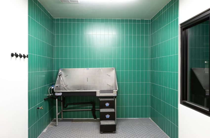 A clean autopsy room with a stainless steel autopsy table, green tiled walls, a small window, and overhead lighting.